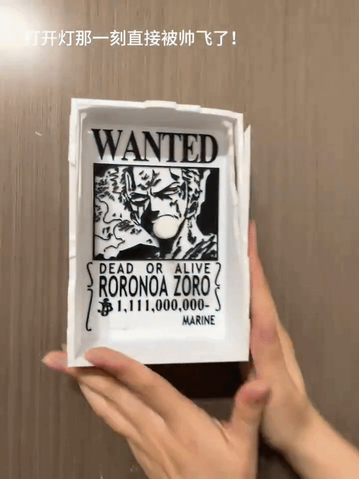Zoro 3D Shadow Light™