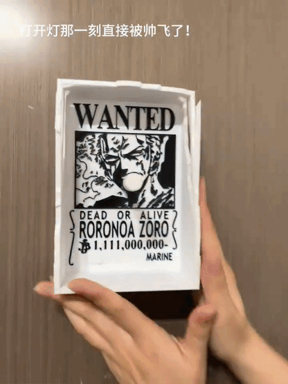 Zoro 3D Shadow Light™