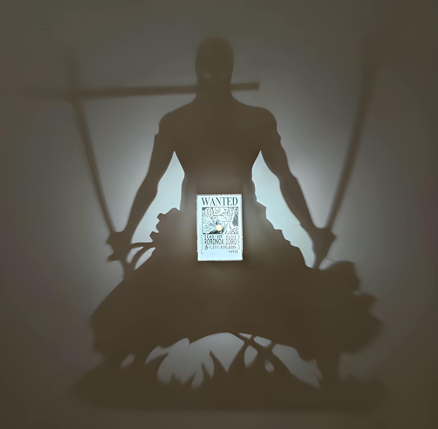 Zoro 3D Shadow Light™
